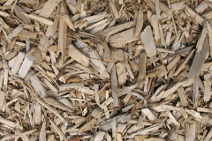 biomass boilers Rhippinllwyd
