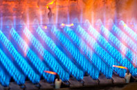 Rhippinllwyd gas fired boilers